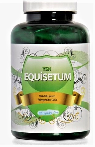 Ysn Equisetum Kaps�l